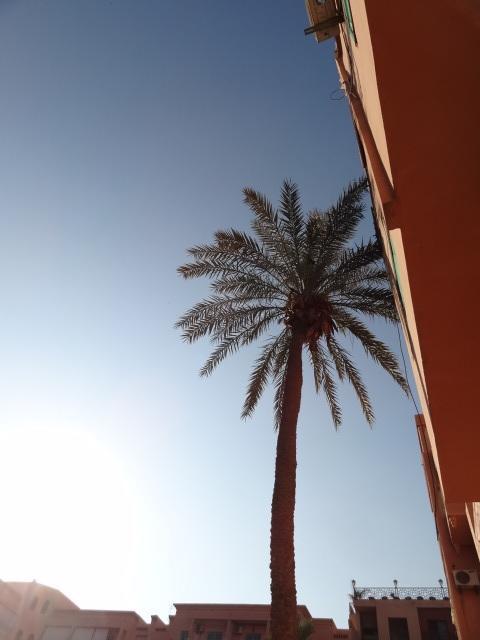 Apartment Twins 12 Marrakesh Eksteriør billede